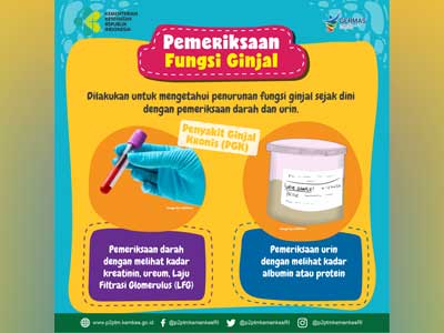 Media Infografis Cegah Penyakit Ginjal Sejak Dini