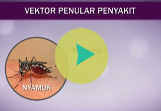 Video Informasi HKS 2014 -Vektor & Malaria