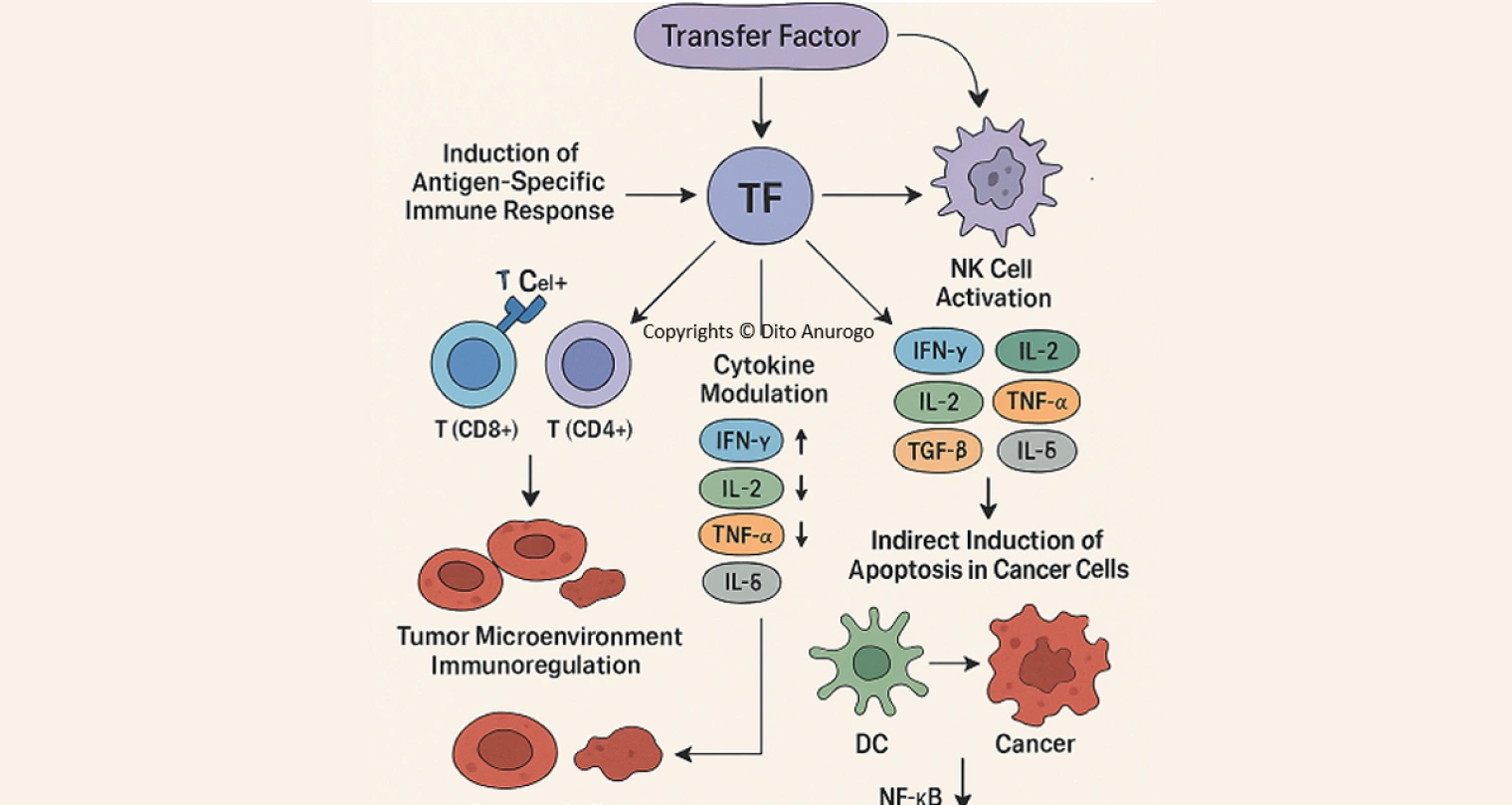 The Miracles of Transfer Factor : "Flashdisk" Imunologi yang Membongkar Pertahanan Kanker
