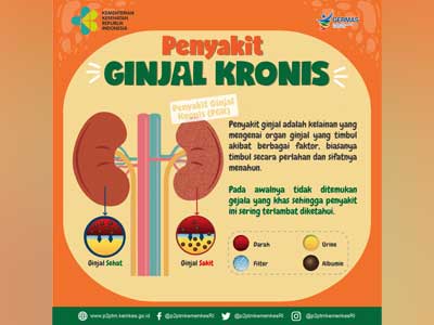 Media Infografis Apa Itu Penyakit Ginjal Kronis