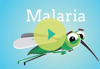 Malaria