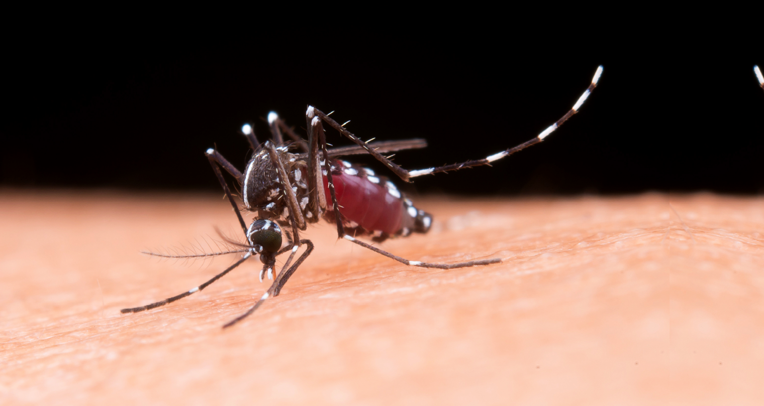 Mengingat Pentingnya Pencegahan Dengue dengan 3M Plus melalui ASEAN DENGUE DAY
