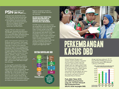 Flyer : Factsheet DBD 42x30cm