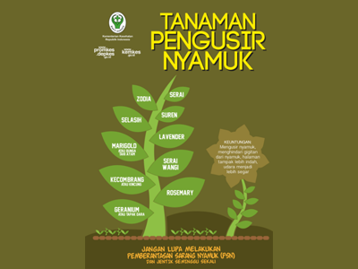 Flyer : Tanaman Nyamuk 15X21CM