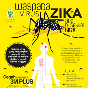 Flyer : Waspada Virus Zika