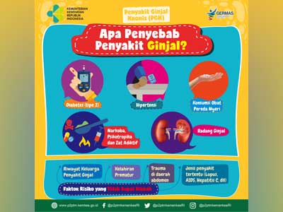 Media Infografis Apa Saja Penyebab Penyakit Ginjal