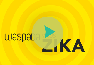 Video Grafis Virus Zika 2016