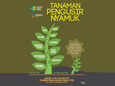 Flyer: DBD - Tanaman Pengusir Nyamuk