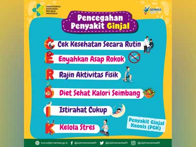 Media Infografis Pencegahan Penyakit Ginjal