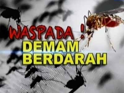 Waspada Demam Berdarah