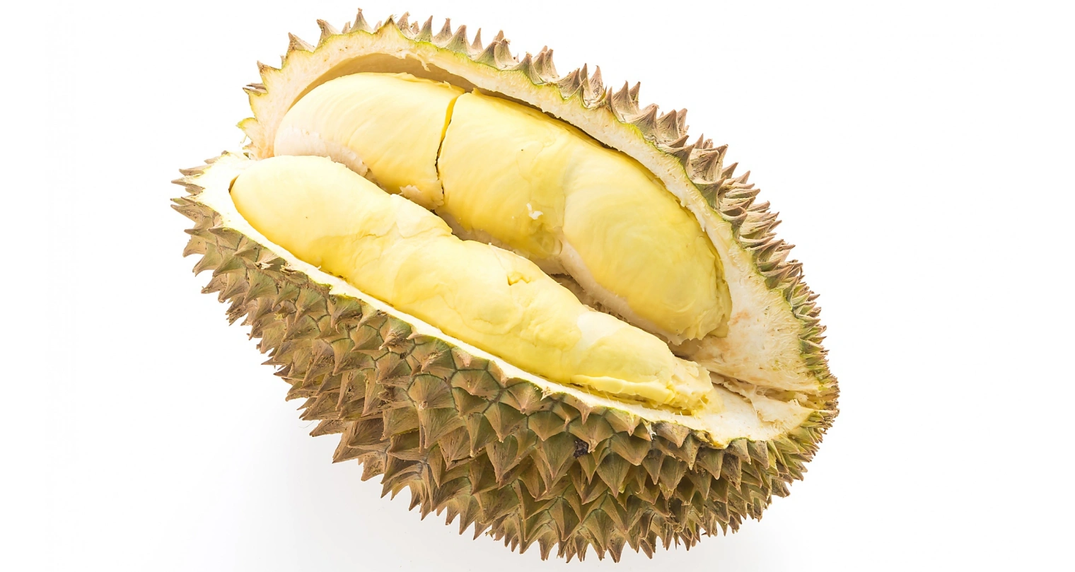 Durian: Raja Buah, Raja Terapi